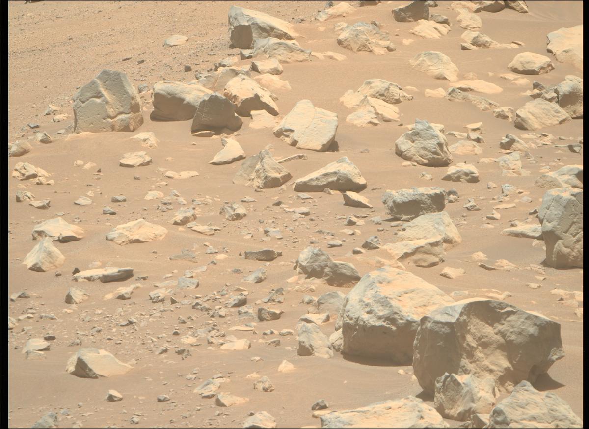 This image was taken by MCZ_RIGHT onboard NASA's Mars rover Perseverance on Sol 1505