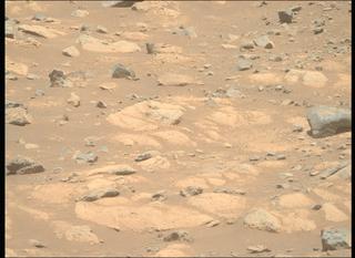 View image taken on Mars, Mars Perseverance Sol 1505: Right Mastcam-Z Camera