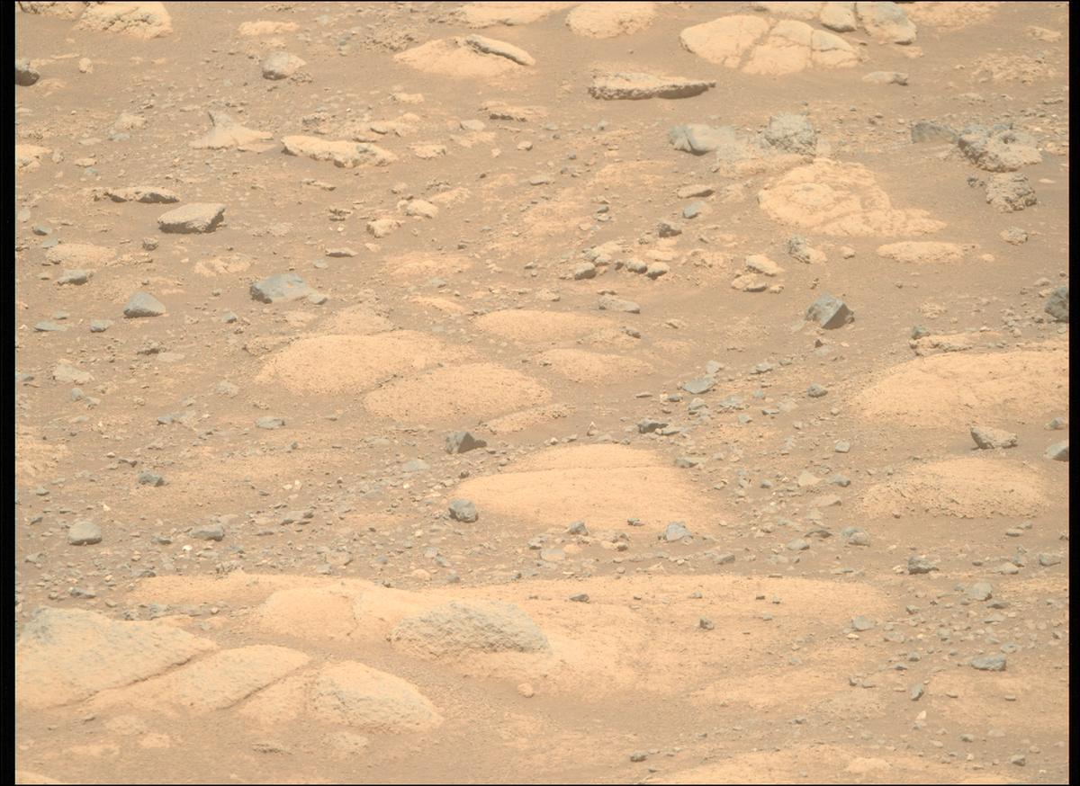 This image was taken by MCZ_RIGHT onboard NASA's Mars rover Perseverance on Sol 1505