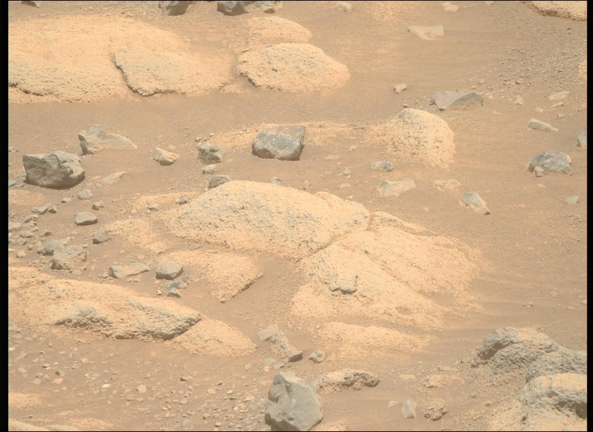 This image was taken by MCZ_RIGHT onboard NASA's Mars rover Perseverance on Sol 1505