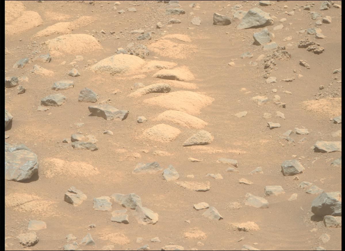 This image was taken by MCZ_RIGHT onboard NASA's Mars rover Perseverance on Sol 1505