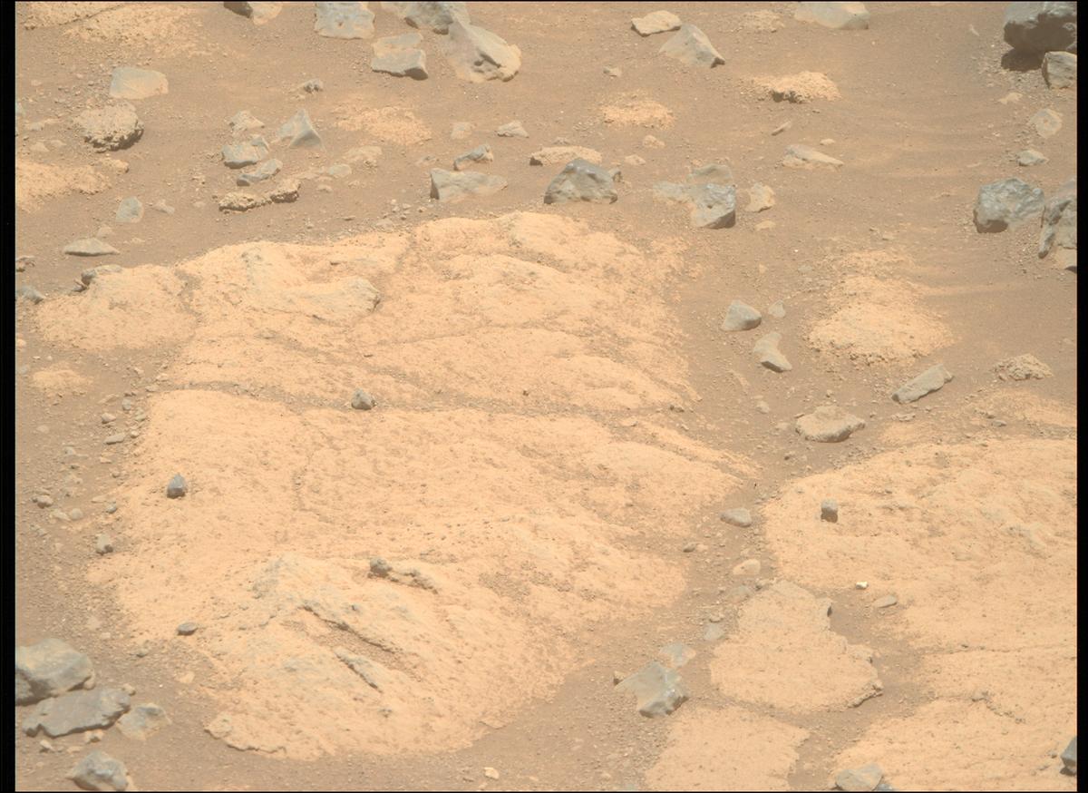 This image was taken by MCZ_RIGHT onboard NASA's Mars rover Perseverance on Sol 1505