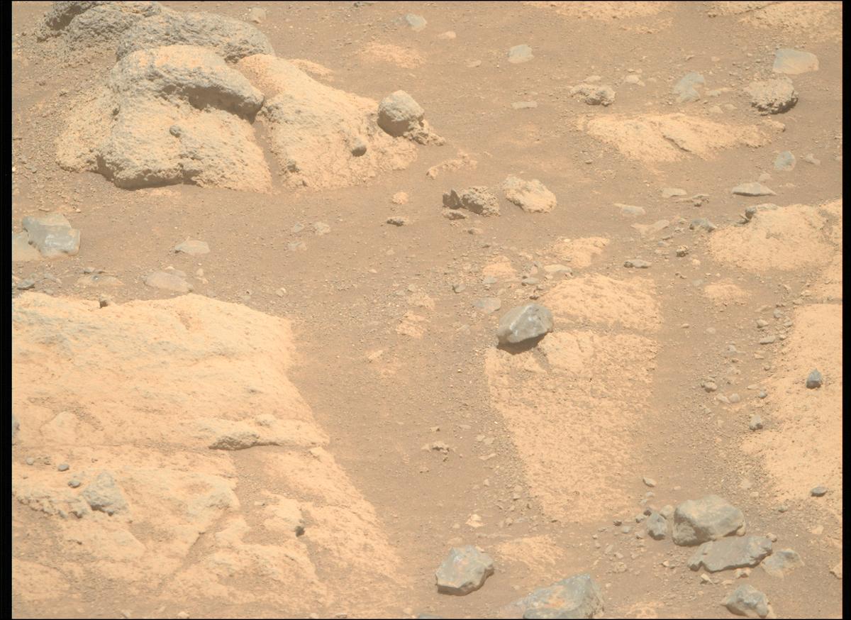This image was taken by MCZ_RIGHT onboard NASA's Mars rover Perseverance on Sol 1505