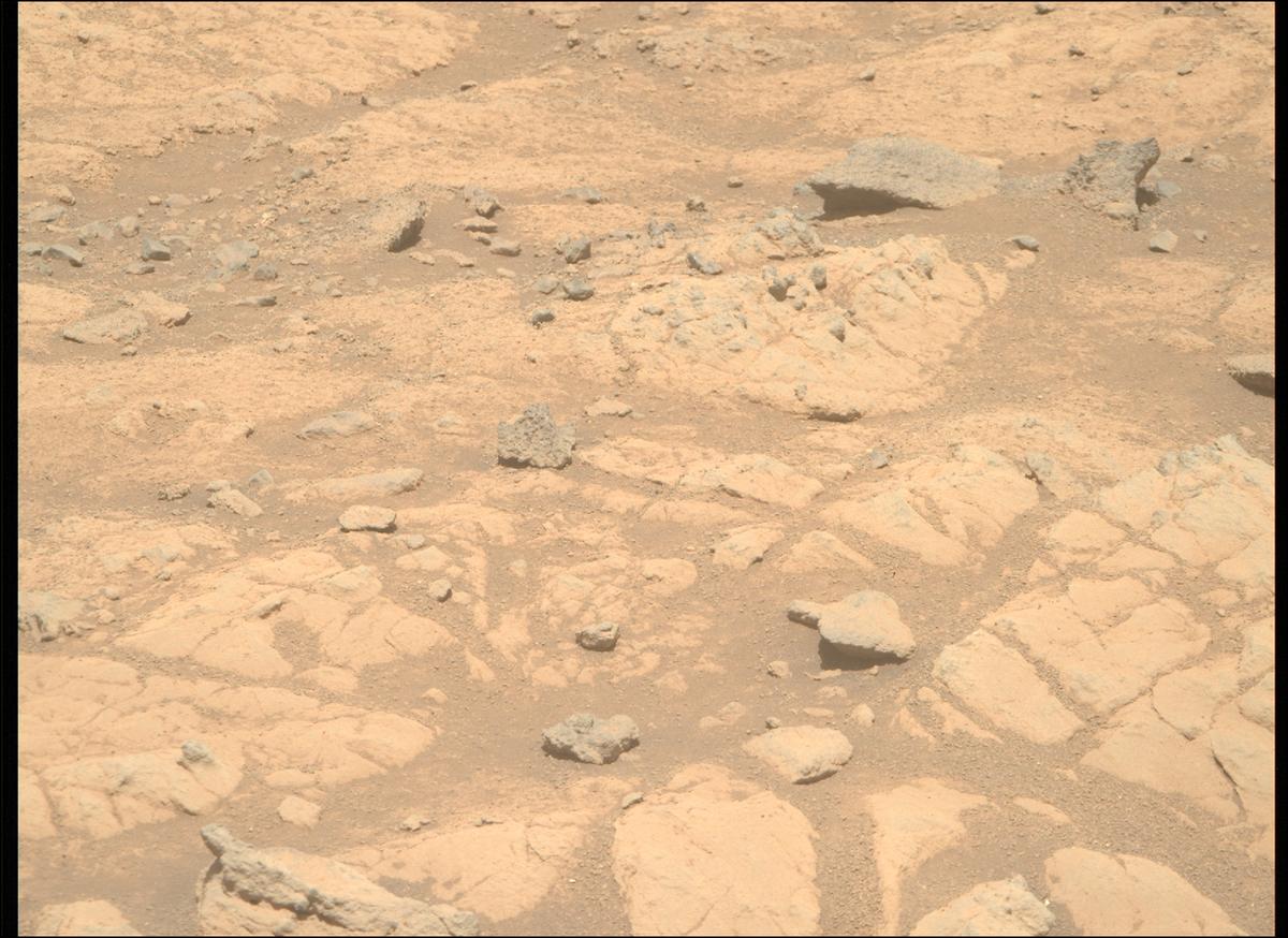 This image was taken by MCZ_RIGHT onboard NASA's Mars rover Perseverance on Sol 1505