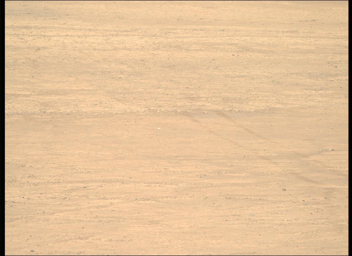 This image was taken by MCZ_RIGHT onboard NASA's Mars rover Perseverance on Sol 1505