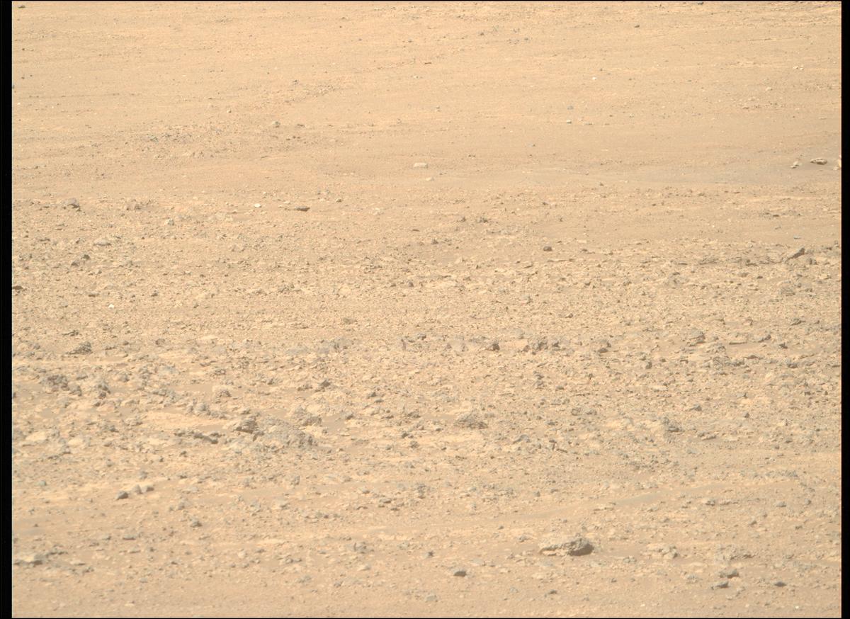 This image was taken by MCZ_RIGHT onboard NASA's Mars rover Perseverance on Sol 1505