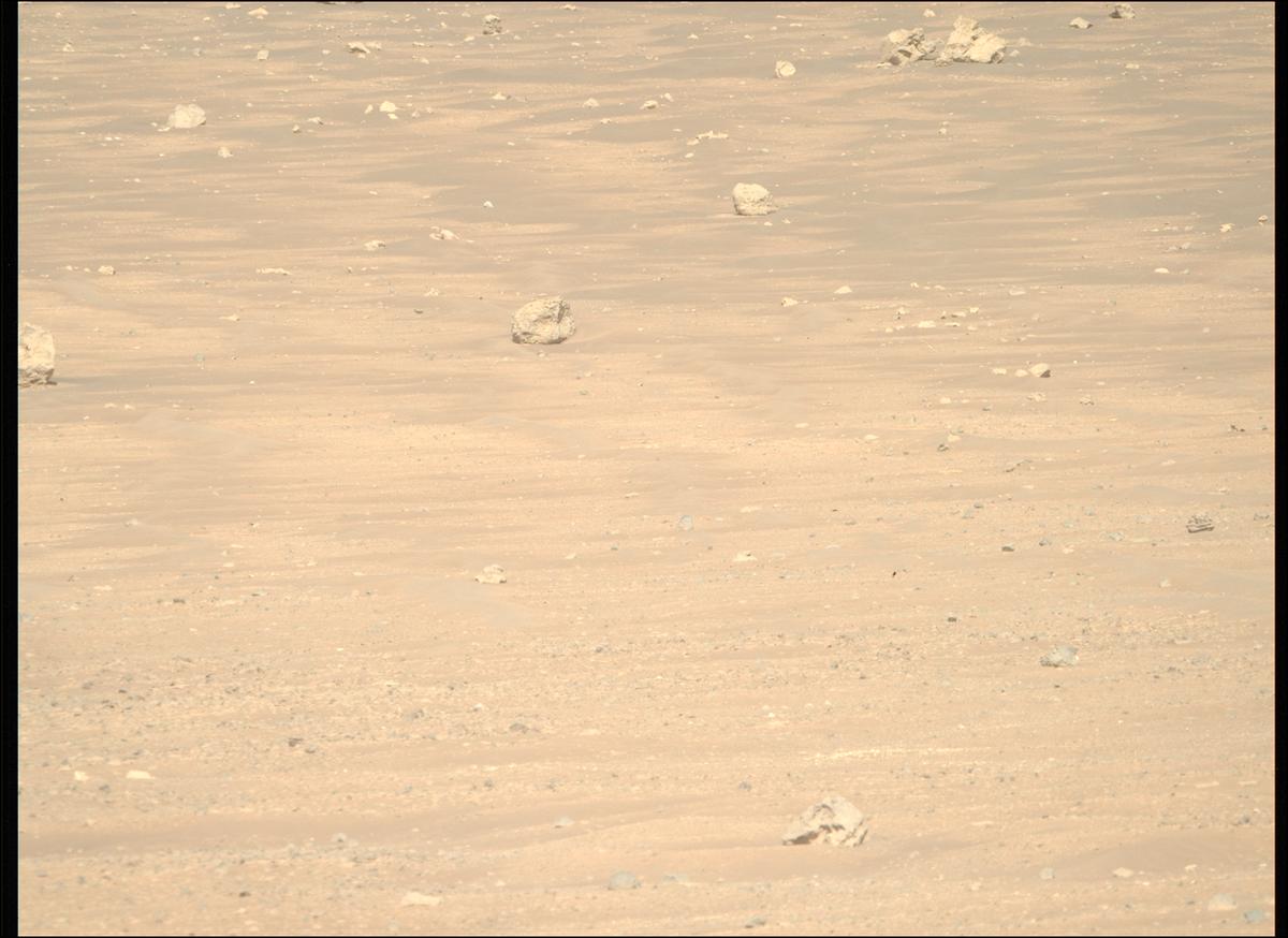 This image was taken by MCZ_RIGHT onboard NASA's Mars rover Perseverance on Sol 1505