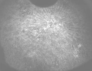 View image taken on Mars, Mars Perseverance Sol 1506: PIXL Camera 