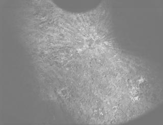 View image taken on Mars, Mars Perseverance Sol 1506: PIXL Camera 