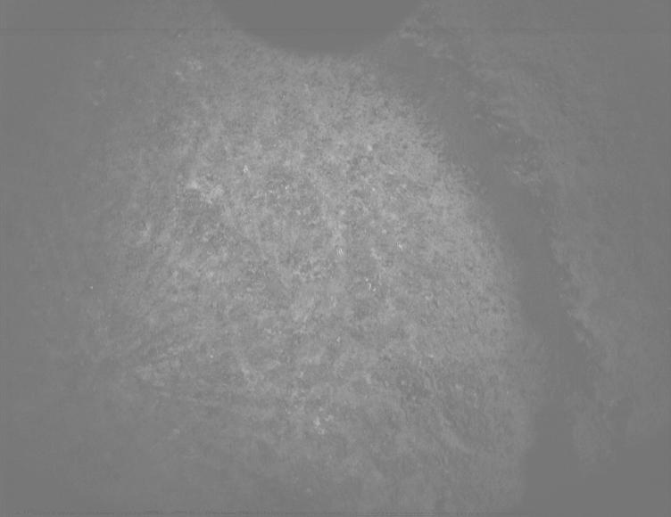 This image was taken by PIXL_MCC onboard NASA's Mars rover Perseverance on Sol 1506