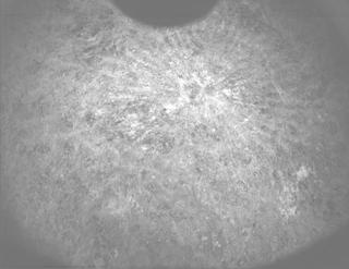 View image taken on Mars, Mars Perseverance Sol 1506: PIXL Camera 