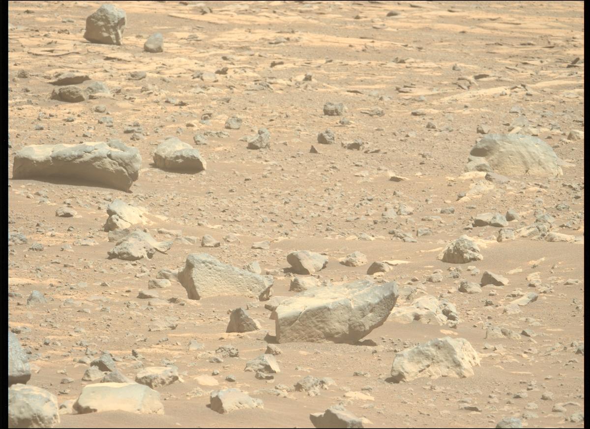 This image was taken by MCZ_LEFT onboard NASA's Mars rover Perseverance on Sol 1507