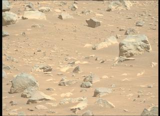 View image taken on Mars, Mars Perseverance Sol 1507: Left Mastcam-Z Camera
