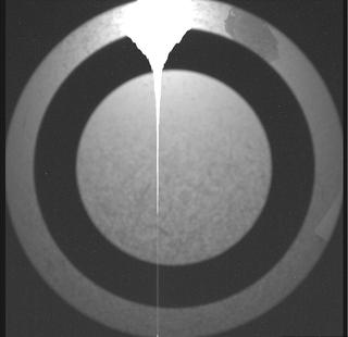 View image taken on Mars, Mars Perseverance Sol 1509: SkyCam Camera 