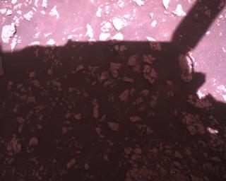 View image taken on Mars, Mars Perseverance Sol 1510: Rover Down-Look Camera