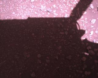 View image taken on Mars, Mars Perseverance Sol 1510: Rover Down-Look Camera