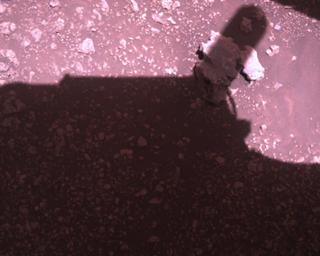View image taken on Mars, Mars Perseverance Sol 1510: Rover Down-Look Camera