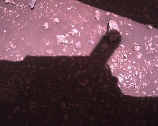 View image taken on Mars, Mars Perseverance Sol 1510: Rover Down-Look Camera