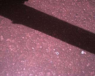 View image taken on Mars, Mars Perseverance Sol 1510: Rover Down-Look Camera