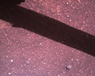View image taken on Mars, Mars Perseverance Sol 1510: Rover Down-Look Camera