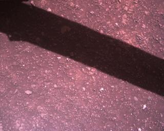 View image taken on Mars, Mars Perseverance Sol 1510: Rover Down-Look Camera
