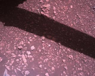 View image taken on Mars, Mars Perseverance Sol 1510: Rover Down-Look Camera