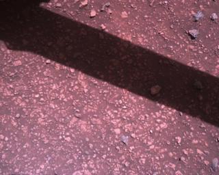 View image taken on Mars, Mars Perseverance Sol 1510: Rover Down-Look Camera