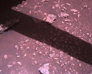 View image taken on Mars, Mars Perseverance Sol 1510: Rover Down-Look Camera