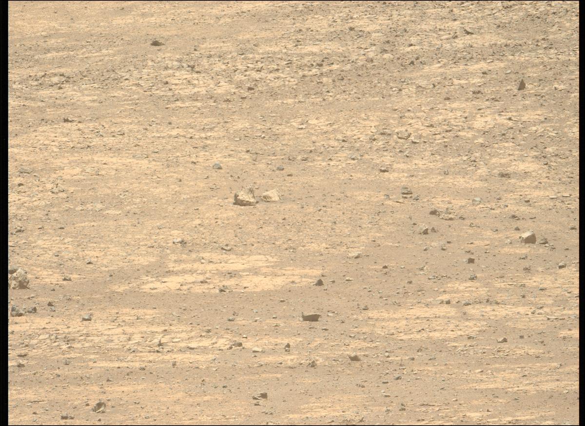 This image was taken by MCZ_LEFT onboard NASA's Mars rover Perseverance on Sol 1510