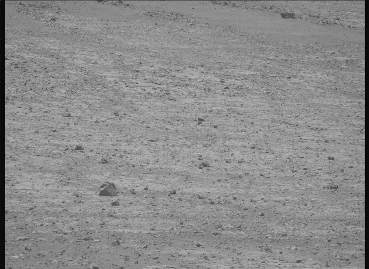 This image was taken by MCZ_RIGHT onboard NASA's Mars rover Perseverance on Sol 1510