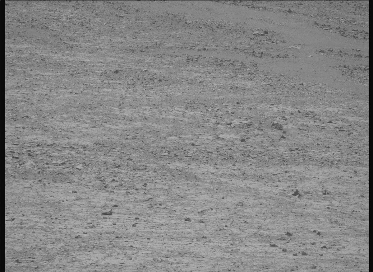This image was taken by MCZ_RIGHT onboard NASA's Mars rover Perseverance on Sol 1510