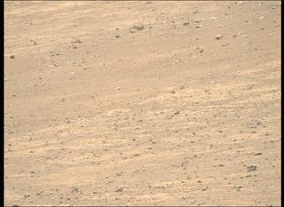 View image taken on Mars, Mars Perseverance Sol 1510: Right Mastcam-Z Camera