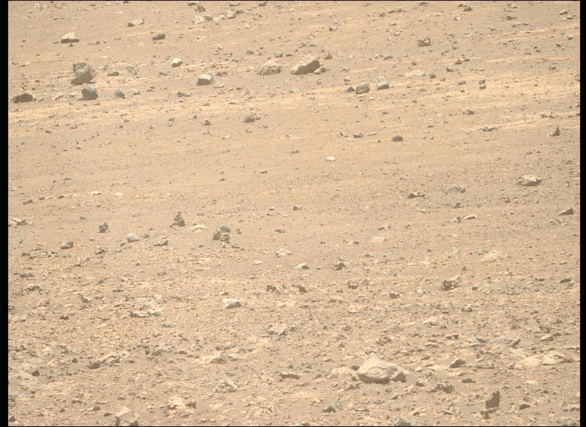 This image was taken by MCZ_RIGHT onboard NASA's Mars rover Perseverance on Sol 1510
