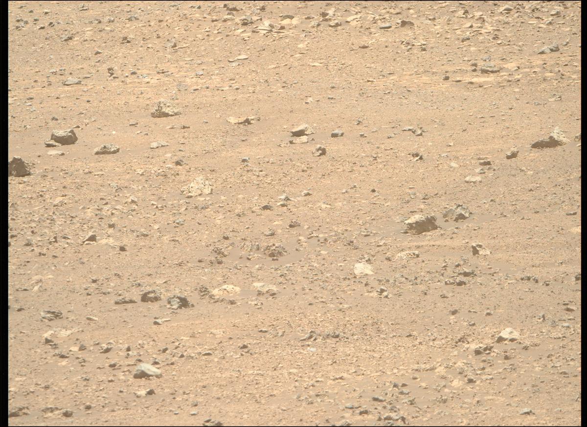 This image was taken by MCZ_RIGHT onboard NASA's Mars rover Perseverance on Sol 1510