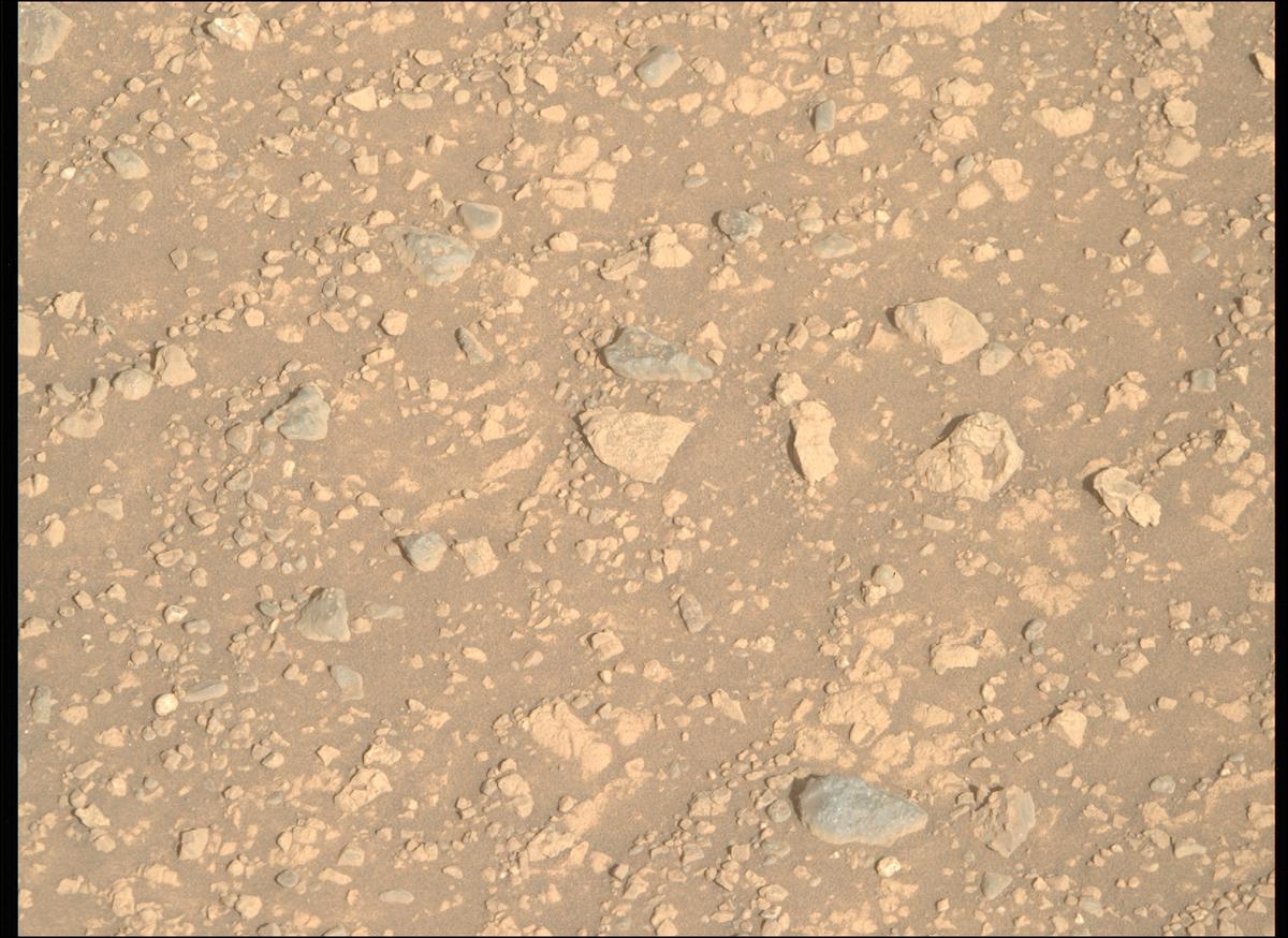 This image was taken by MCZ_RIGHT onboard NASA's Mars rover Perseverance on Sol 1510
