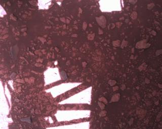 View image taken on Mars, Mars Perseverance Sol 1511: Rover Down-Look Camera