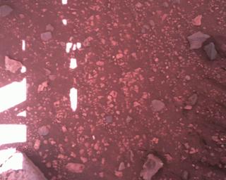 View image taken on Mars, Mars Perseverance Sol 1511: Rover Down-Look Camera