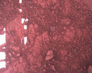 View image taken on Mars, Mars Perseverance Sol 1511: Rover Down-Look Camera