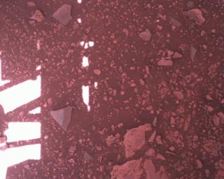 View image taken on Mars, Mars Perseverance Sol 1511: Rover Down-Look Camera