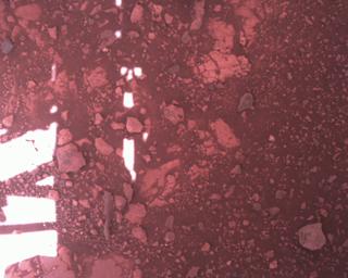 View image taken on Mars, Mars Perseverance Sol 1511: Rover Down-Look Camera