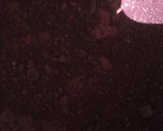 View image taken on Mars, Mars Perseverance Sol 1511: Rover Down-Look Camera