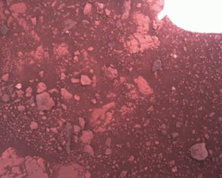 View image taken on Mars, Mars Perseverance Sol 1511: Rover Down-Look Camera