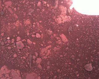 View image taken on Mars, Mars Perseverance Sol 1511: Rover Down-Look Camera