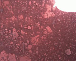 View image taken on Mars, Mars Perseverance Sol 1511: Rover Down-Look Camera