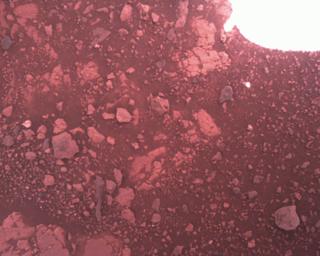 View image taken on Mars, Mars Perseverance Sol 1511: Rover Down-Look Camera