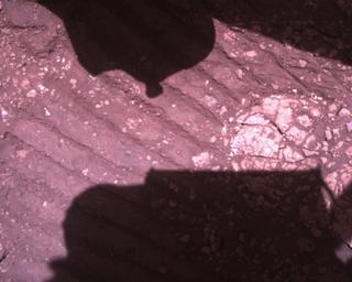 View image taken on Mars, Mars Perseverance Sol 1511: Rover Down-Look Camera