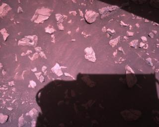 View image taken on Mars, Mars Perseverance Sol 1511: Rover Down-Look Camera