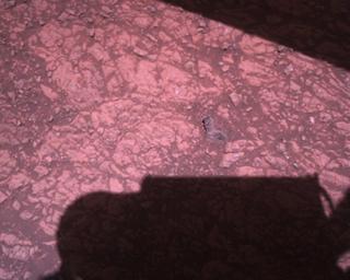 View image taken on Mars, Mars Perseverance Sol 1511: Rover Down-Look Camera