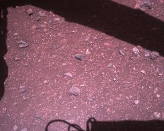 View image taken on Mars, Mars Perseverance Sol 1511: Rover Down-Look Camera