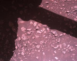 View image taken on Mars, Mars Perseverance Sol 1511: Rover Down-Look Camera